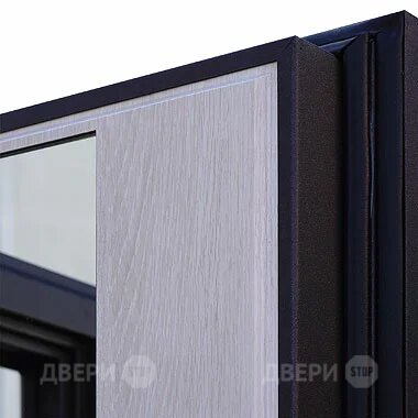 Входная металлическая Дверь Шелтер (SHELTER) Филадельфия Зеркало в Видное