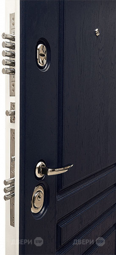 Входная металлическая Дверь Сударь МД-45 в Видное