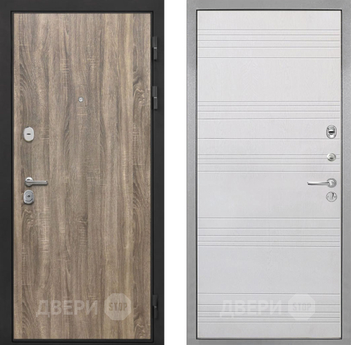 Входная металлическая Дверь Интекрон (INTECRON) Гектор Дуб Турин ФЛ-316 Белый ясень в Видное